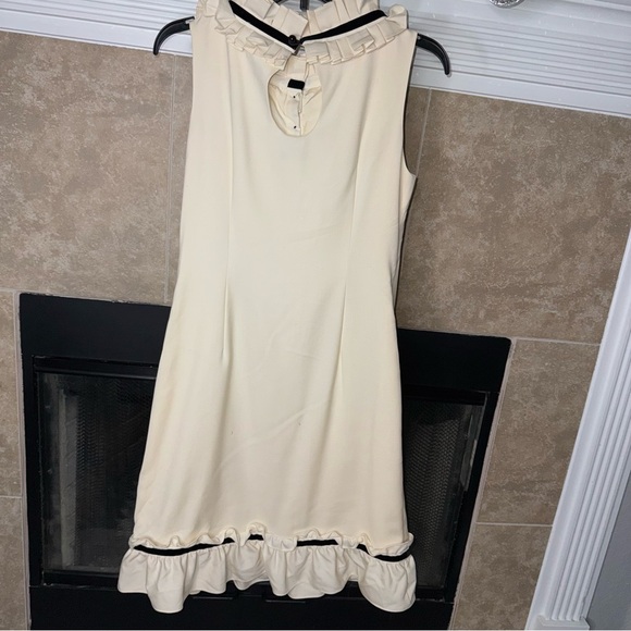 J. Crew Ruffle Trim Shift Dress size 6 damaged - Picture 10 of 14